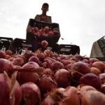 Onion price has come down