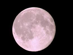 Pink Moon Seen Around the World,